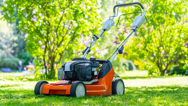 <div class="migrated-promo-image__description"><div class="migrated-promo-image__source">Fuente: Shutterstock</div></div>