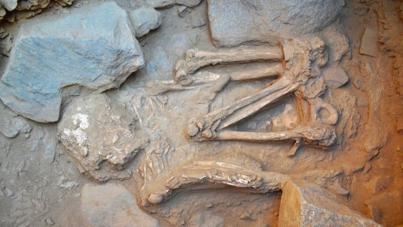 <div class="migrated-promo-image__description"><div class="migrated-promo-image__source">Fuente: Archivo</div></div>