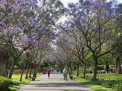 La Fundación Azcuy invitó a los vecinos de CABA a participar del Programa de Arbolado 2023