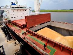 Inesperada caída del comercio exterior en el mes de mayo