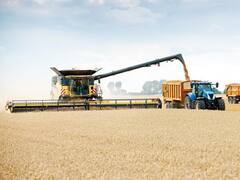 Suba de la soja: alertan por eventual derrumbe tras la elección en EE.UU.