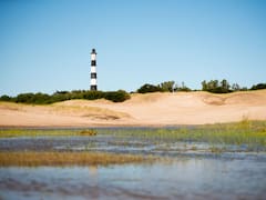 Verano 2024: la excursión que tenés que hacer si querés unas fotos increíbles de tus vacaciones en Villa Gesell