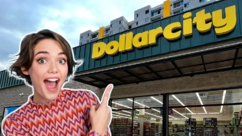 Este producto de Dollarcity combina un estílo y durabilidad únicos