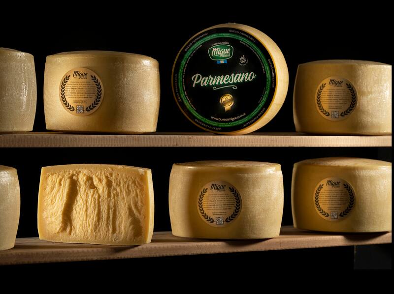 El certamen se llevó a cabo en Viseu, Portugal, con la participación de 47 países. (Foto: Web Quesos Migue)