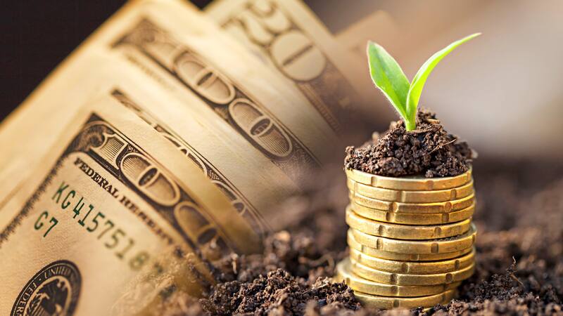 La ministra de Economía, Silvina Batakis, pretende captar los cerca de u$s 23.000 millones que hoy están inmovilizados.