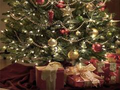 La UCR propone un bono de fin de año para trabajadores, jubilados y beneficiarios de planes