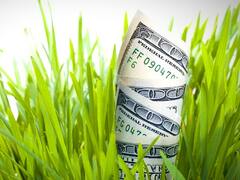 ¿Dólar o soja?: cómo invertir en el grano y aprovechar el rally de 52% en 9 meses