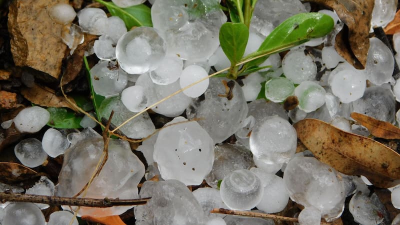 <div class="migrated-promo-image__description"><div class="migrated-promo-image__source">Fuente: shutterstock</div></div>