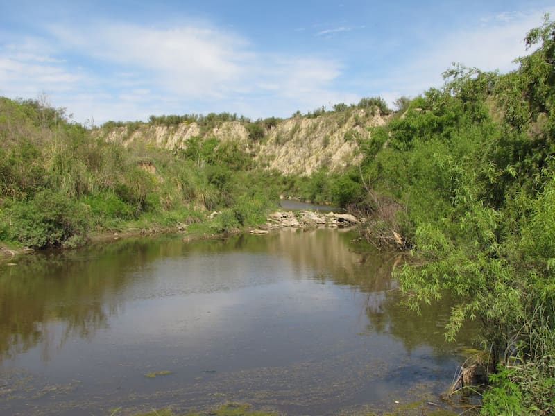 Arroyo Aldea Brasilera