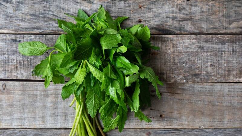 <div class="migrated-promo-image__description"><div class="migrated-promo-image__source">Fuente: Shutterstock</div></div>