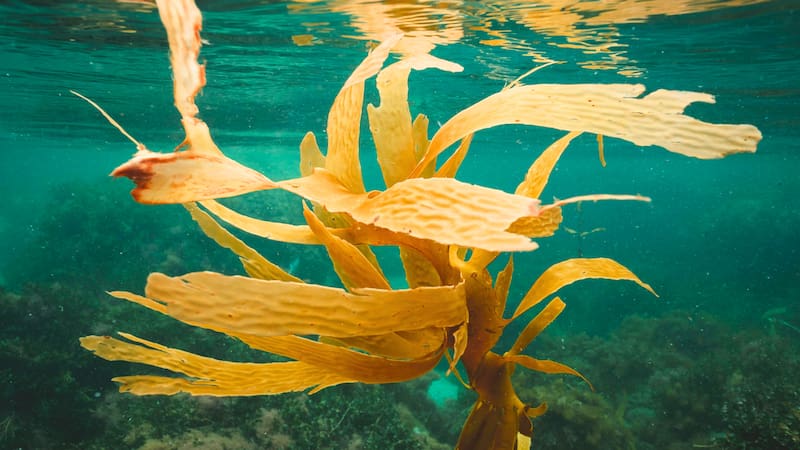 <div class="migrated-promo-image__description"><div class="migrated-promo-image__source">Fuente: Pexels</div></div>