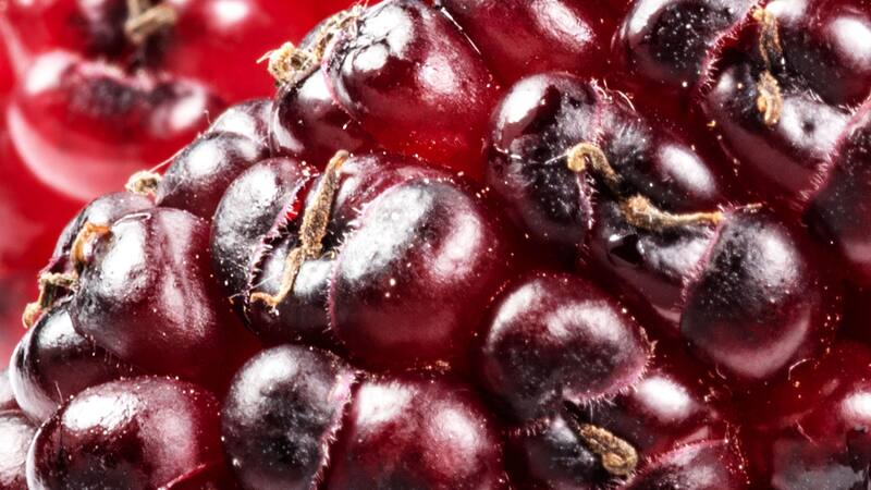 <div class="migrated-promo-image__description"><div class="migrated-promo-image__source">Fuente: ShutterStock</div></div>