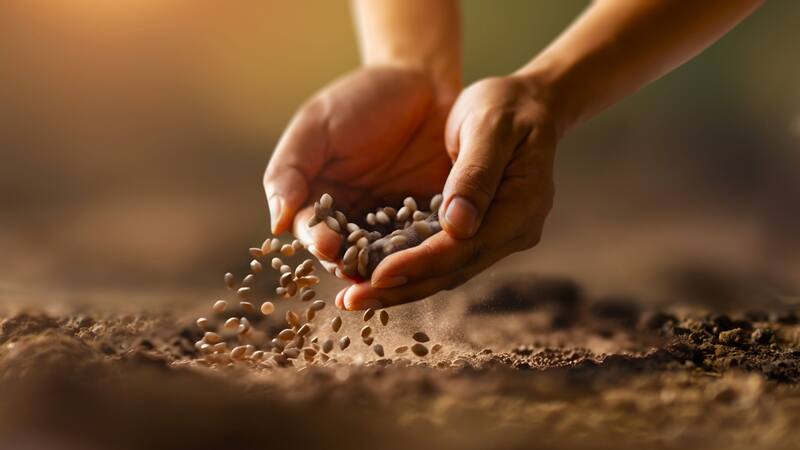 <div class="migrated-promo-image__description"><div class="migrated-promo-image__source">Fuente: Shutterstock</div></div>