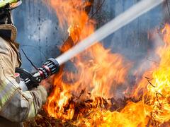El país de Latinoamérica que está en el top 10 de las naciones que más bosques primarios pierden