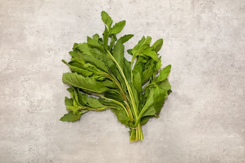 La hierba medicinal que ayuda a aliviar todos los dolores. (Foto: Shutterstock)