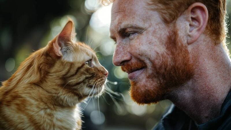 <div class="migrated-promo-image__description"><div class="migrated-promo-image__source">Fuente: Freepik</div></div>