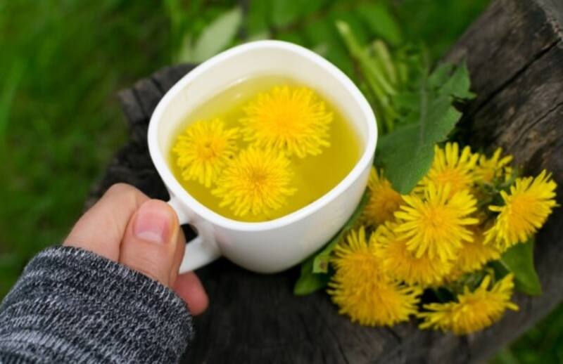 El diente de león, en infusión, contiene vitaminas que refuerzan el sistema inmunológico y reducen el estrés oxidativo.(Fuente: Freepik)