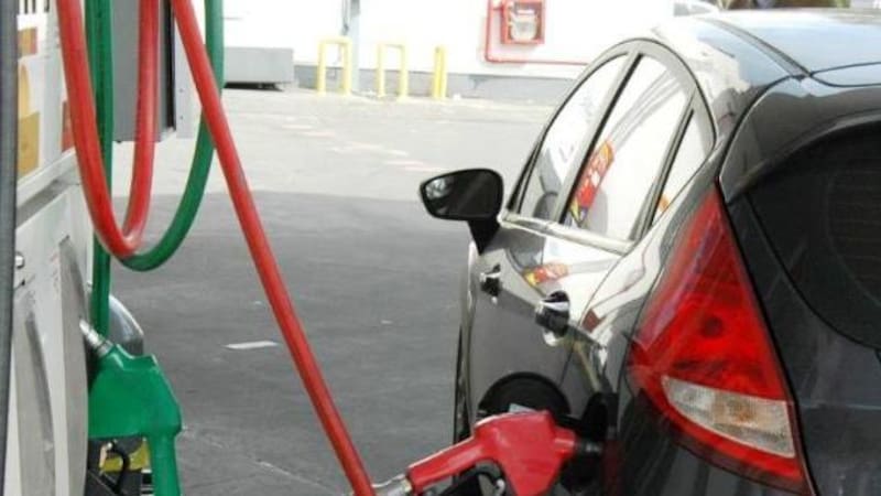 Iguacel ve cartelización