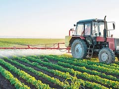 Otro año de optimismo para el sector agrícola, con un clima de negocios favorable