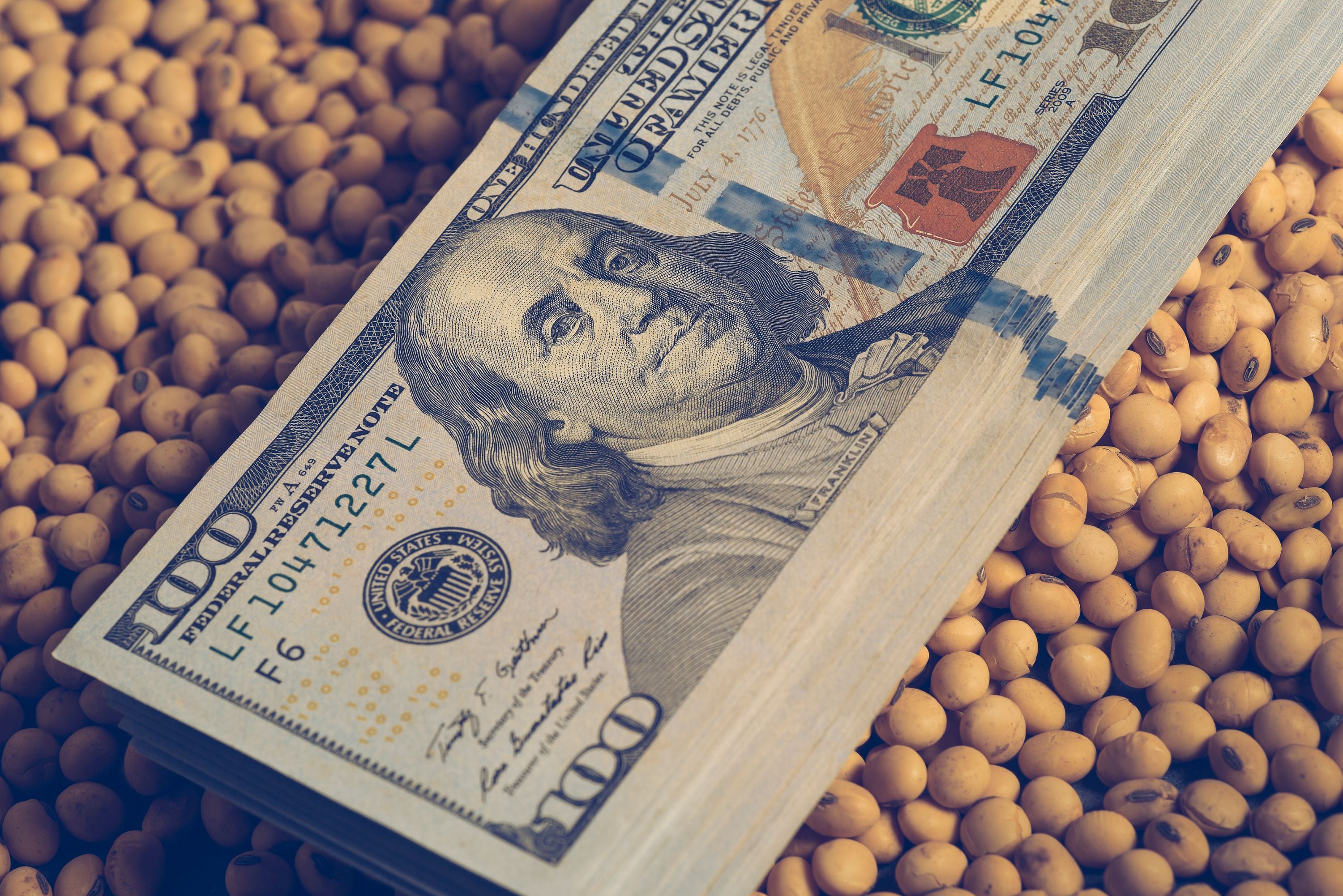 El cultivo que deja de ser secundario y cambia la ecuación exportadora El cultivo que deja de ser secundario y cambia la ecuación exportadora