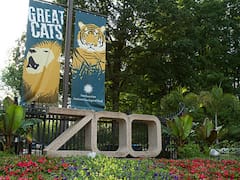 Nueva especie en peligro de extinción llega al Zoo Nacional de Washington