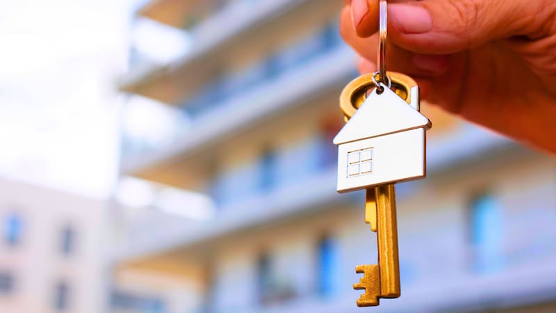 <div class="migrated-promo-image__description"><div class="migrated-promo-image__source">Fuente: Freepik</div></div>