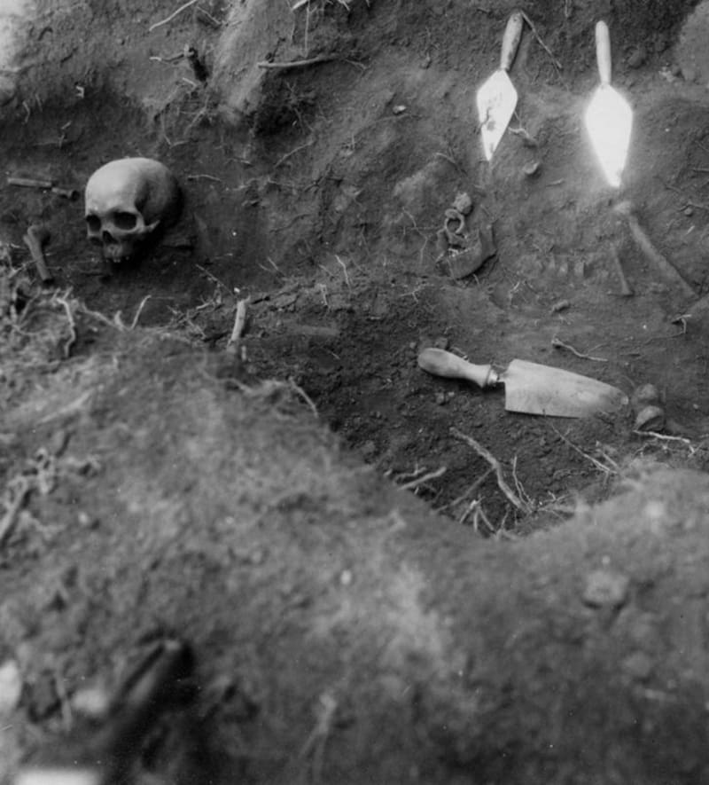 Este descubrimiento arqueológico cambió lo que se creía sobre el origen genético.