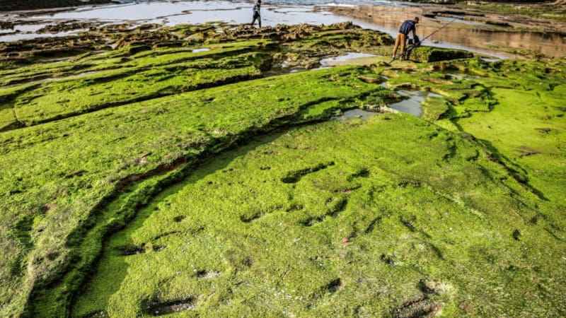 <div class="migrated-promo-image__description"><div class="migrated-promo-image__source">Fuente: AFP</div></div>