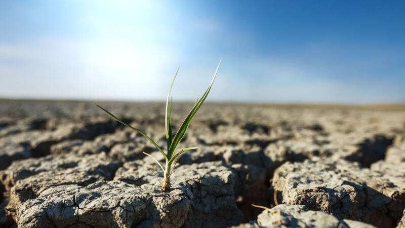 La impactante información sobre el cambio climático que genera preocupación entre la comunidad científica. (Foto: Archivo).