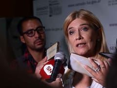 El Senado se reactiva: endeudamiento, reelecciones y jury por el caso Maradona