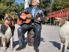 Polémica por una insólita estatua de Alberto Fernández y sus perros: dónde está