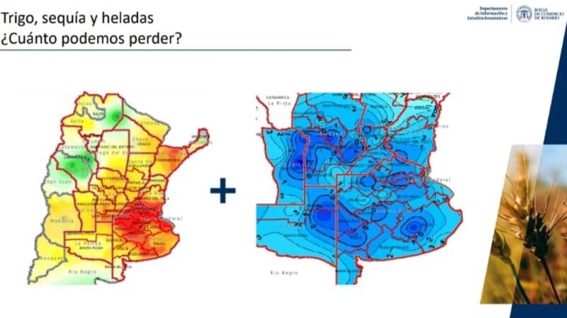 La sequía y las heladas afectan la zona núcleo y alrededores