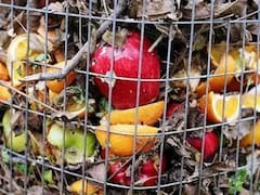 Contra el desperdicio de alimentos