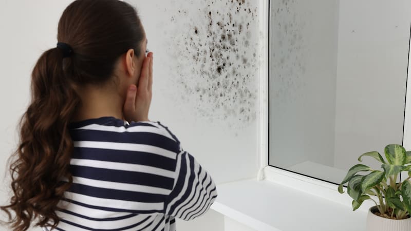 Estos trucos evitan utilizar productos nocivos para ambientes y personas (Fuente: archivo).