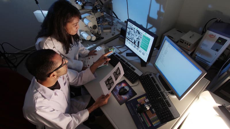 Desde la pandemia los focos se posaron sobre la industria de farmacéutica, y los desafíos no solo están en desarrollar investigaciones, sino que cada vez se vuelve más difícil conseguir los talentos para esto.