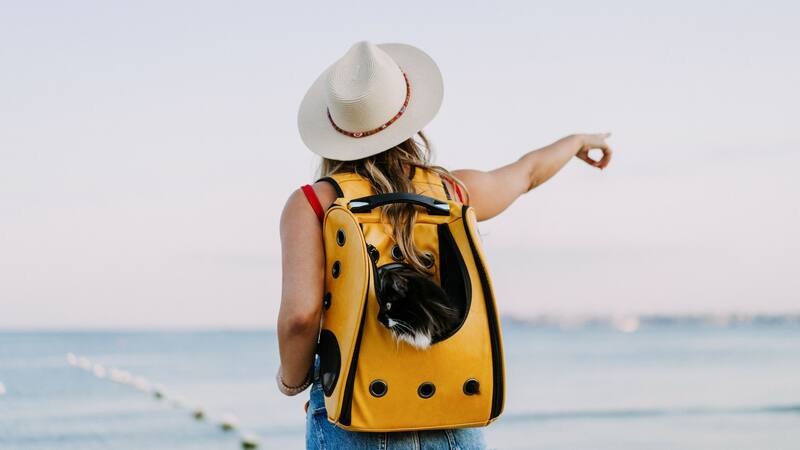 En el noreste de la provincia, el "Caribe Cordobés" te invita a disfrutar y descansar.