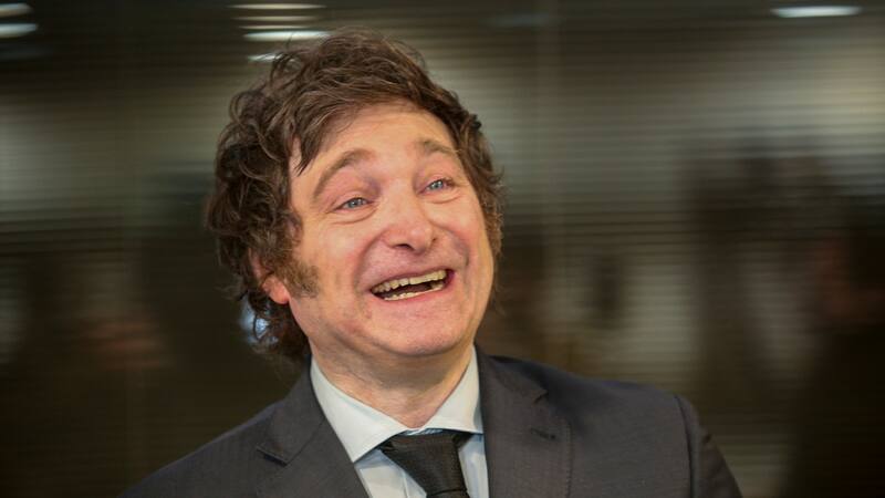 El diputado libertario y precandidato presidencial, Javier Milei.
