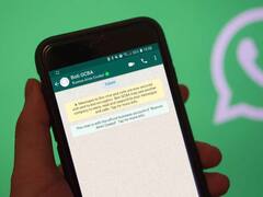 El "Boti" de Alberto Fernández tiene nombre de mujer y responderá preguntas las 24 horas