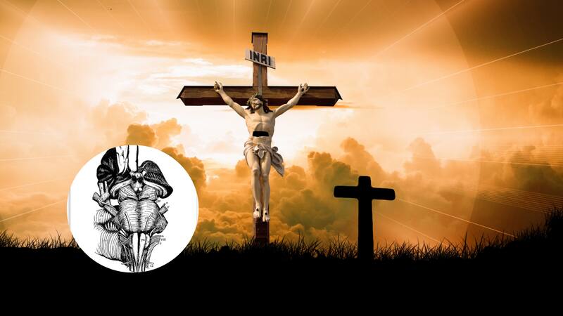 <div class="migrated-promo-image__description"><div class="migrated-promo-image__source">Fuente: Canva</div></div>