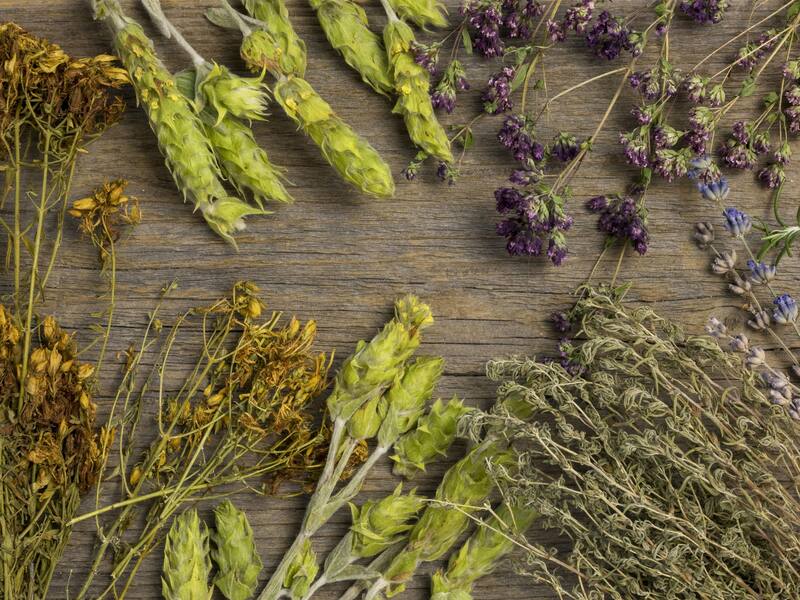 Las plantas medicinales se han utilizado durante siglos para aliviar síntomas. (Foto: Freepik)