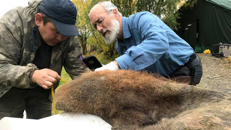 <div class="migrated-promo-image__description"><div class="migrated-promo-image__source">Fuente: EFE</div></div>