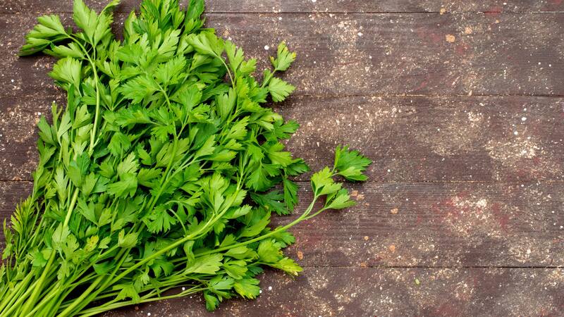 <div class="migrated-promo-image__description"><div class="migrated-promo-image__source">Fuente: Freepik</div></div>