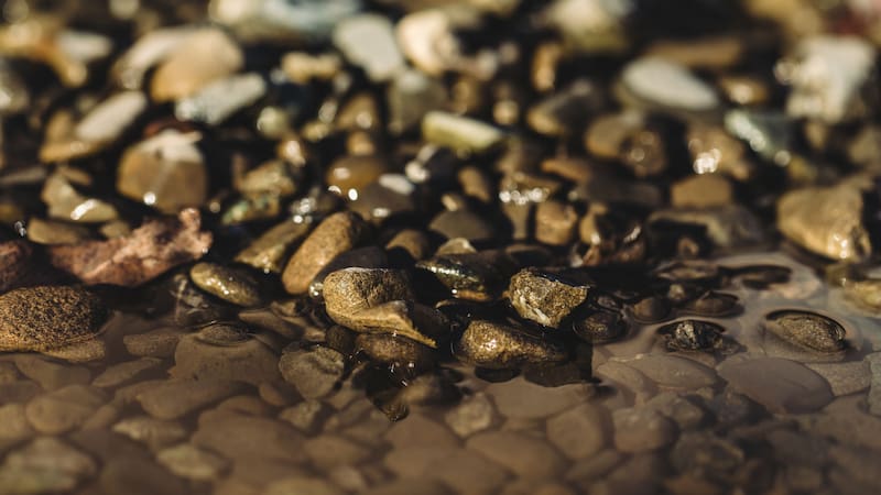 <div class="migrated-promo-image__description"><div class="migrated-promo-image__source">Fuente: Freepik</div></div>