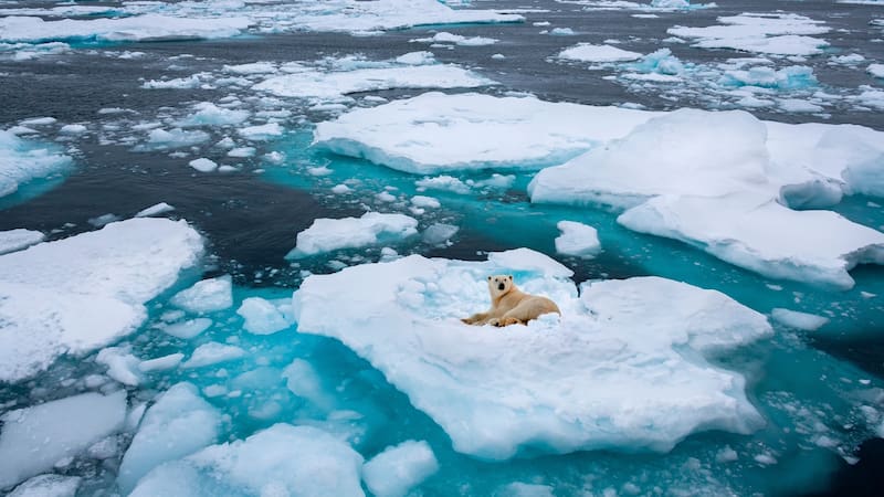 <div class="migrated-promo-image__description"><div class="migrated-promo-image__source">Fuente: Shutterstock</div></div>