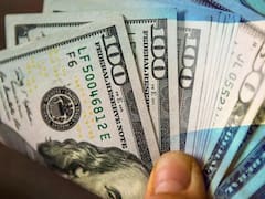 Uno de los "padres" de la convertibilidad destruyó la dolarización de Milei: cuál es su alternativa