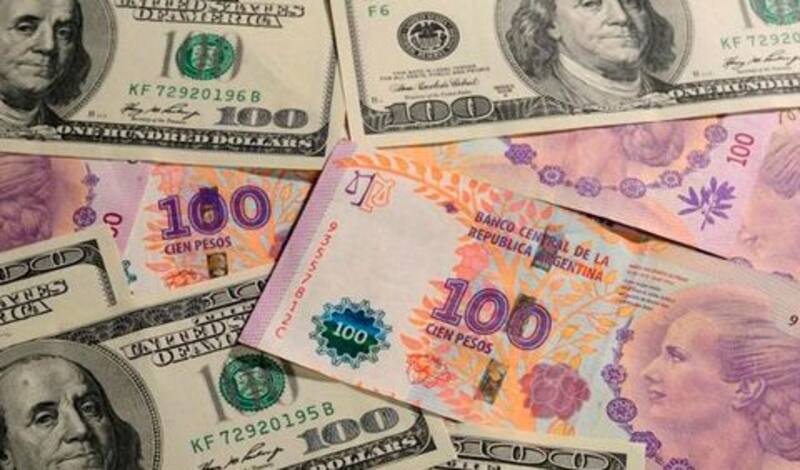 Crece en la sociedad la idea de dolarizar la economía.