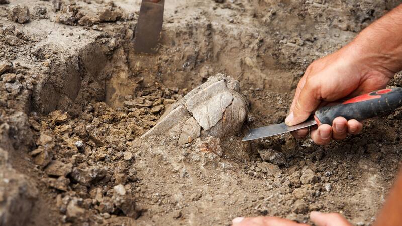 Encuentran uno de los yacimientos arqueológicos más importantes de China.