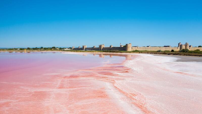 <div class="migrated-promo-image__description"><div class="migrated-promo-image__source">Fuente: Freepik</div></div>