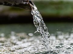 Descubren agua contaminada con glifosato la Unión Europea: ¿qué países son los más afectados?