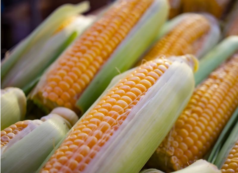 La dieta de la milpa: una opción saludable y sostenible. Fuente: Shutterstock.